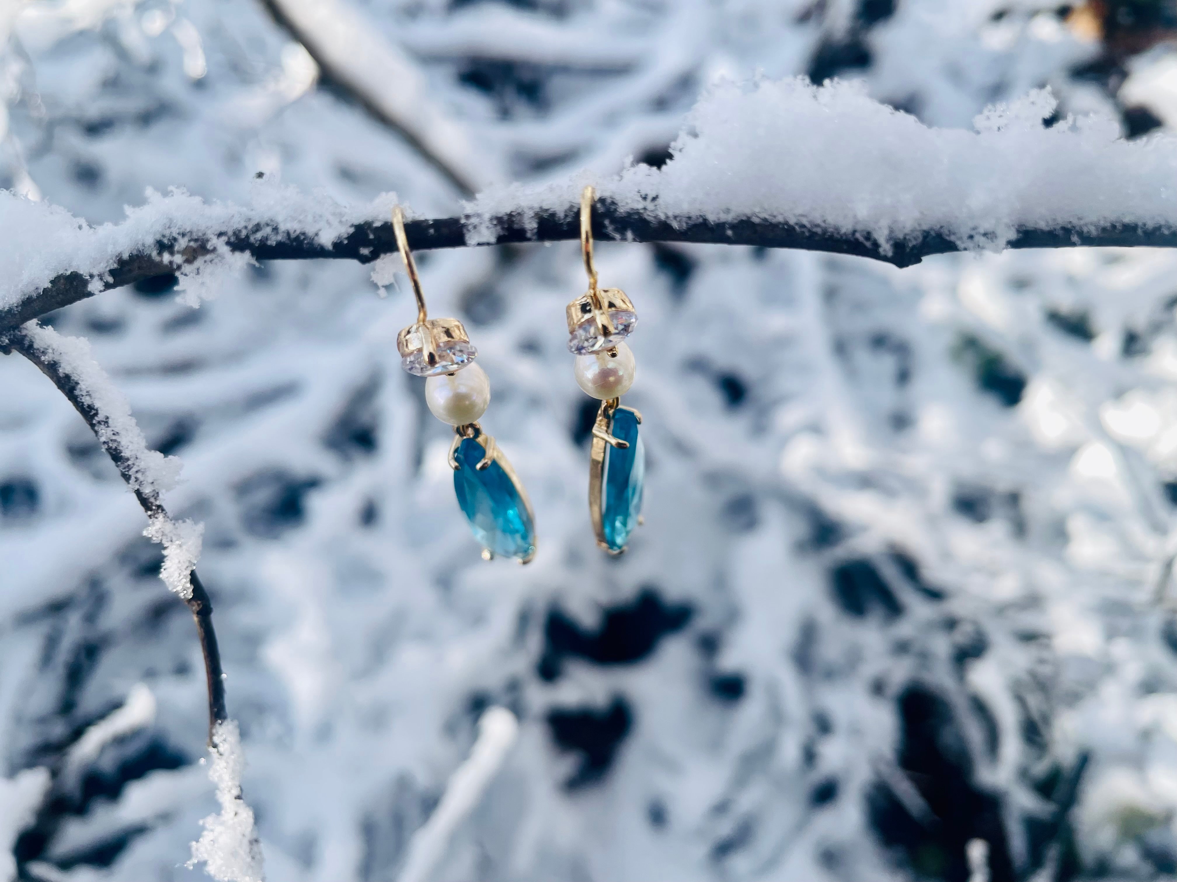Winter Wonderland Earrings